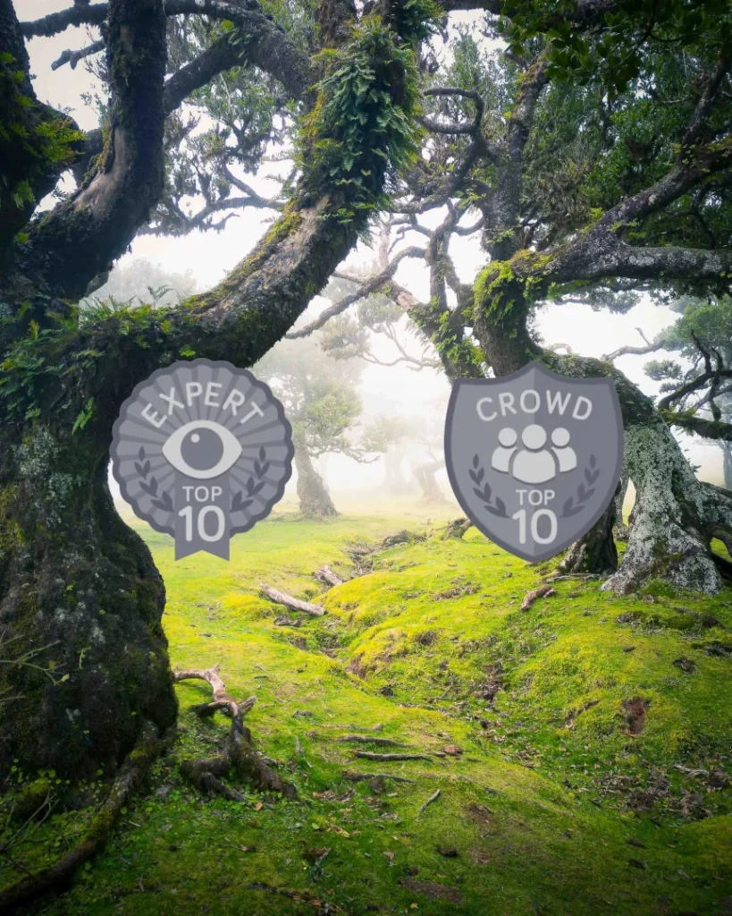 Landscape Contest _ #755